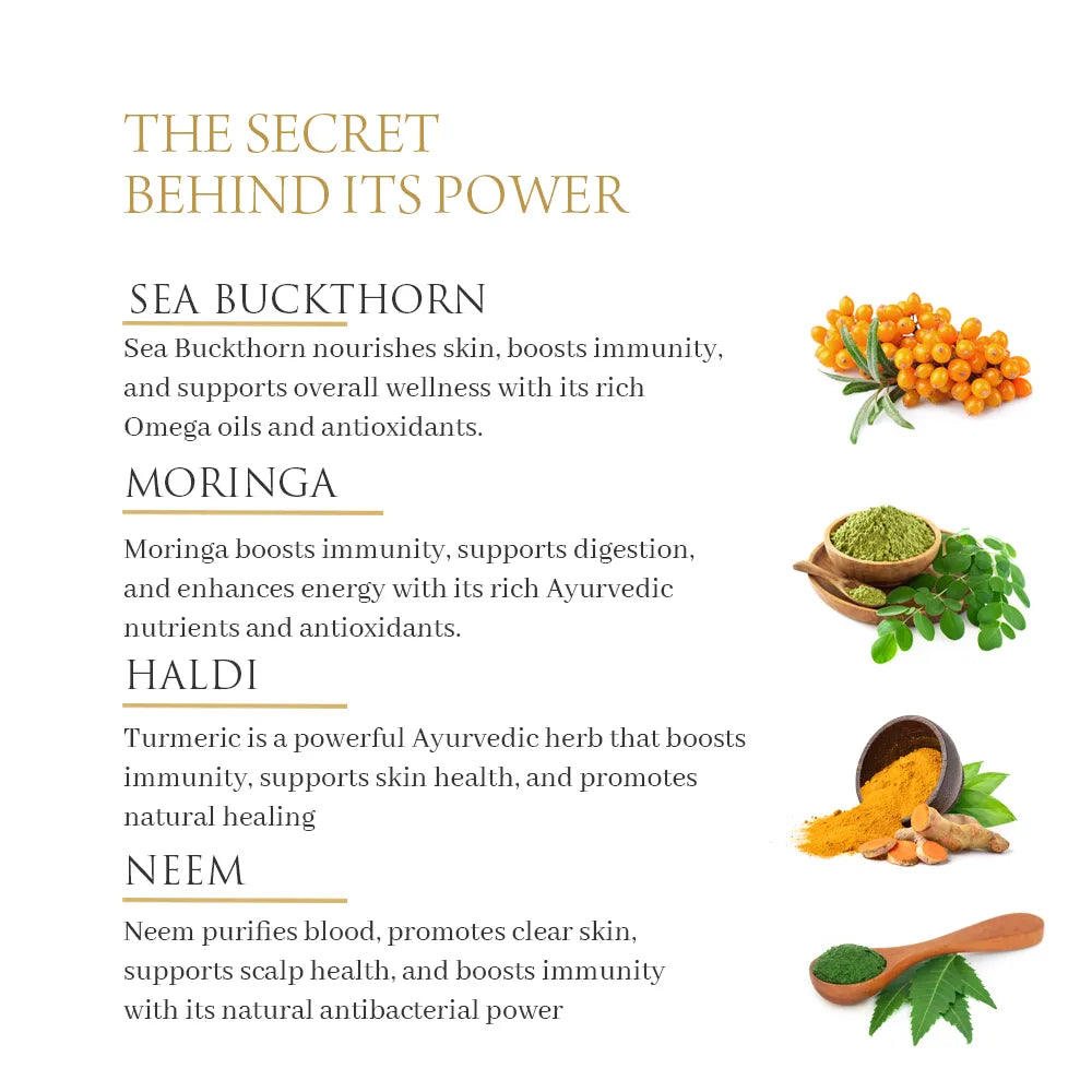 Sea Buckthorn Immunity Booster Nabhi Oil - Key Ayurvedic Ingredients