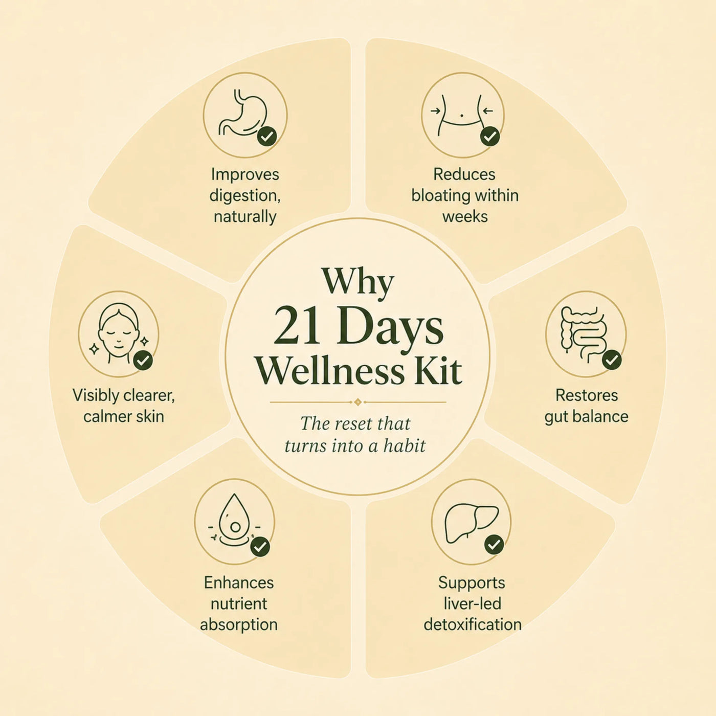 21 Days Wellness Kit for digestion, bloating relief, gut health and natural detox