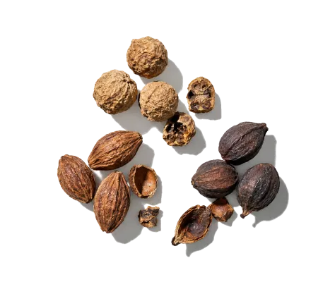 Triphala