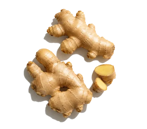 Ginger