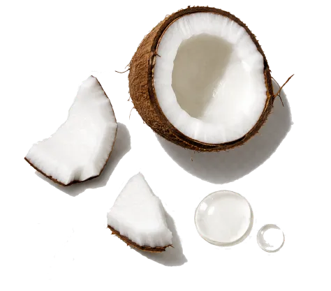 Coconut Oil