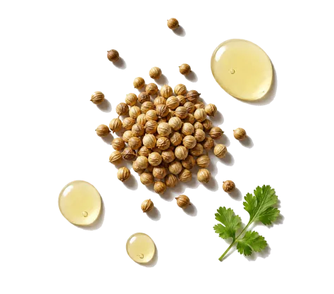 Coriander EO