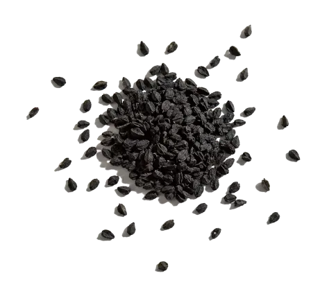 Black Cumin