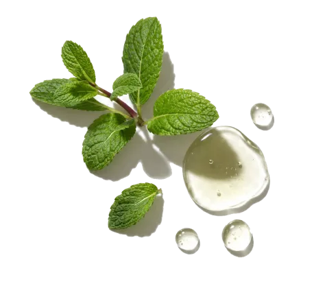 Peppermint EO